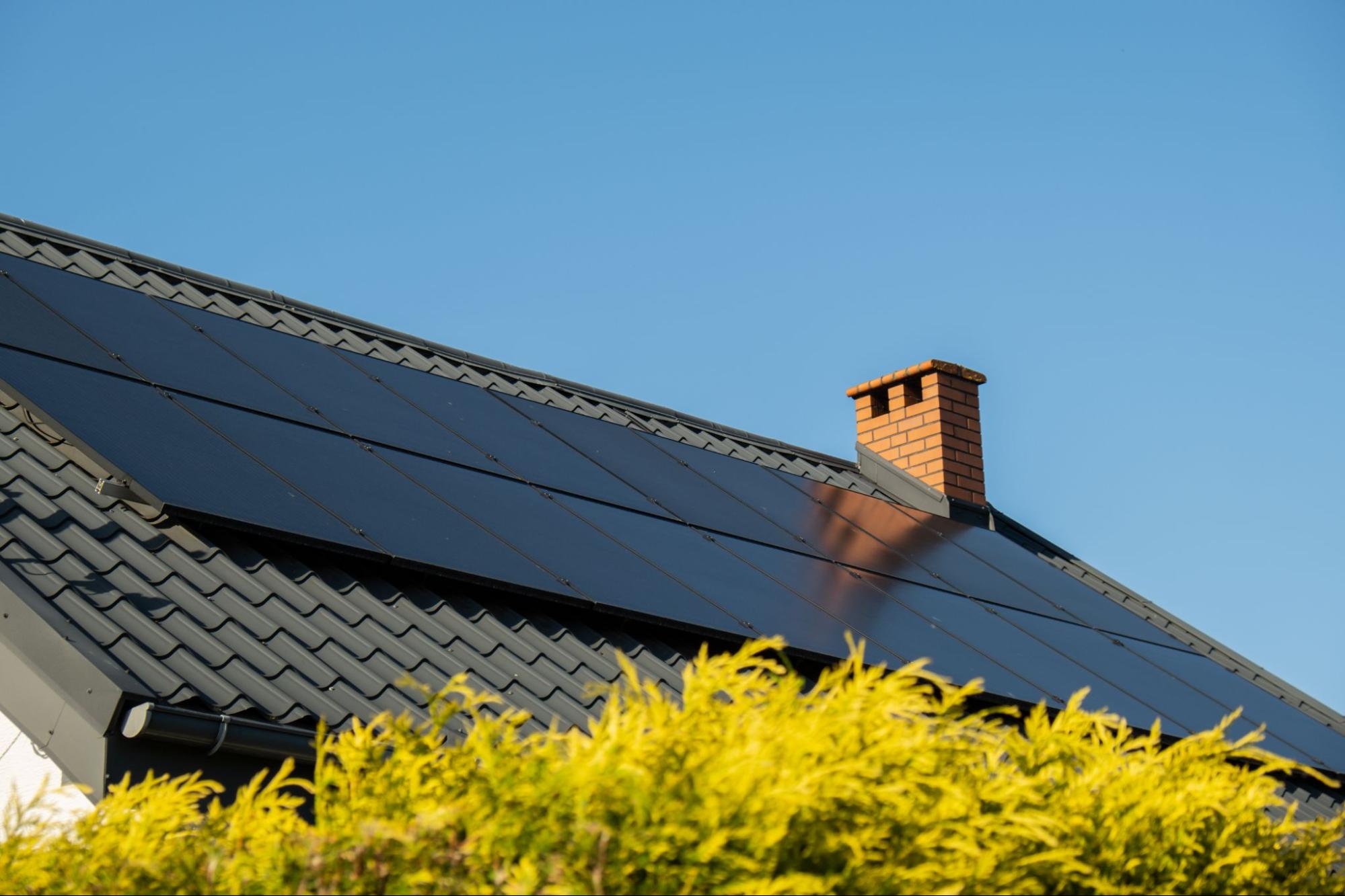 home-solar-bush